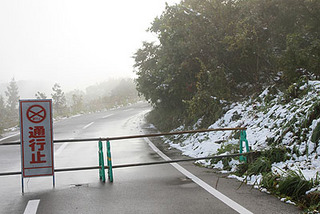 snow2957.jpg