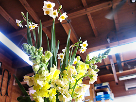 flower4245.jpg