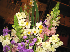 flower4249.jpg