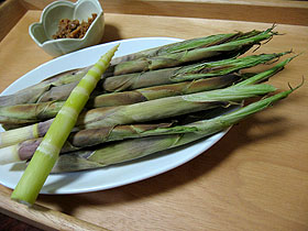 food3096.jpg