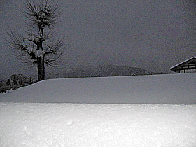 snow4133.jpg